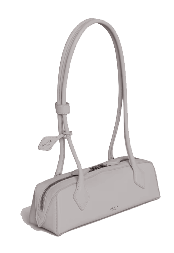 Paul Warmer ALAIA LE TECKEL MEDIUM GREGE