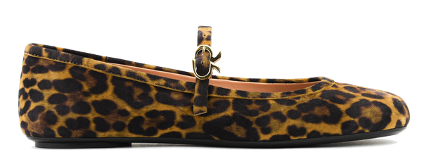 paul warmer GIANVITO ROSSI CARLA LEOPARD BALLERINA