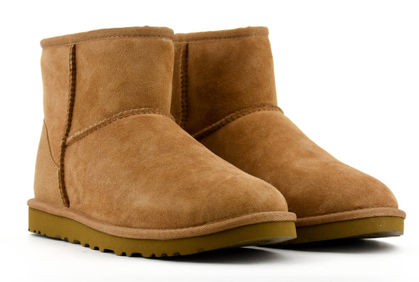 Paul Warmer UGG CLASSIC MINI CHESTNUT