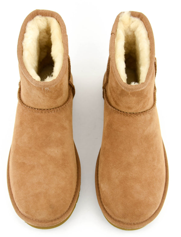 Paul Warmer UGG CLASSIC MINI CHESTNUT