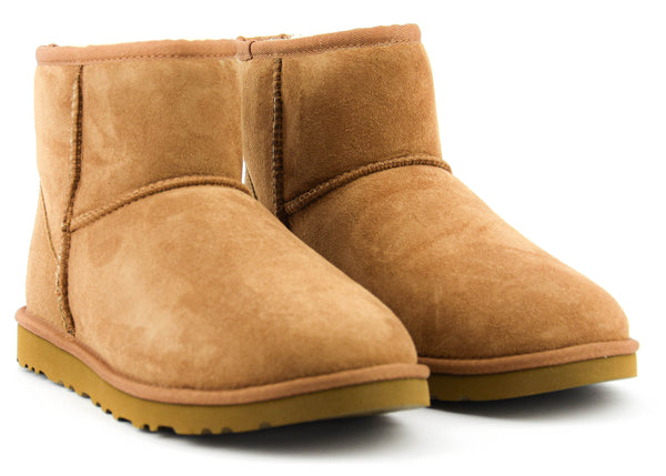 Paul Warmer UGG CLASSIC MINI M CHESTNUT