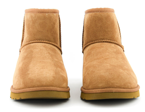 Paul Warmer UGG CLASSIC MINI M CHESTNUT