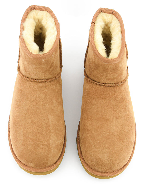 Paul Warmer UGG CLASSIC MINI M CHESTNUT