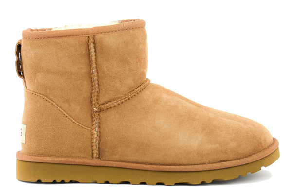 Paul Warmer UGG CLASSIC MINI M CHESTNUT