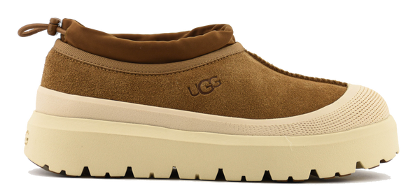 paul warmer UGG TASMAN WEATHER CHESTNUT