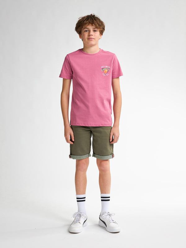 Petrol Industries Jackson Gekleurde Denim Short Nautica