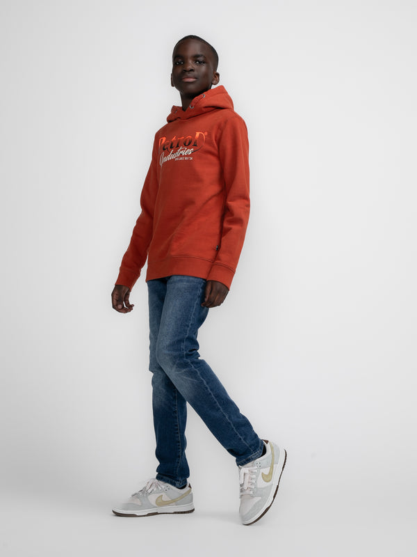 Petrol Industries Artwork Hoodie PortLions