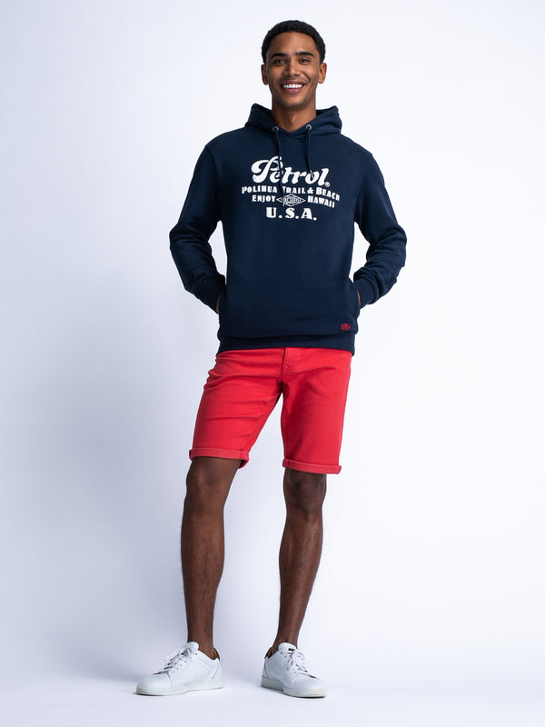 Petrol Industries Artwork Hoodie Rio