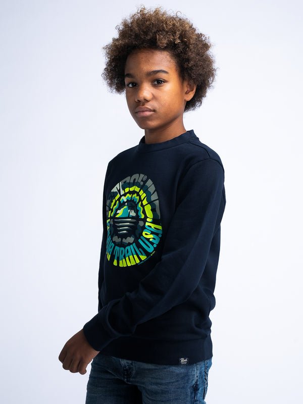 Petrol Industries Artwork Sweater Vacationeer