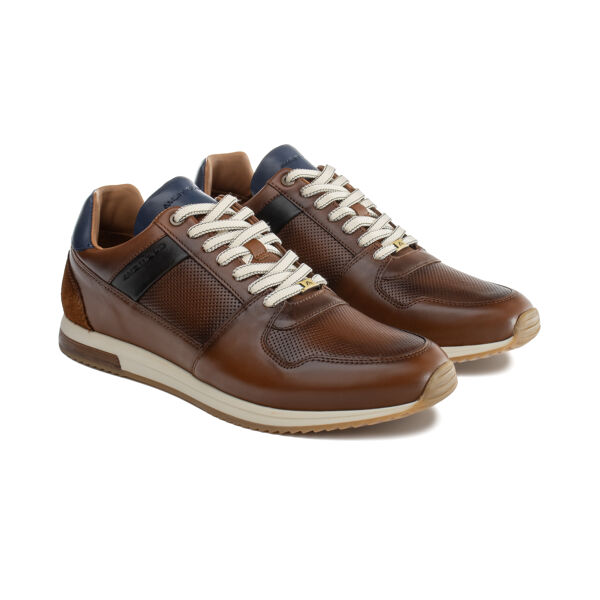 Piampiani Ambitious Slow