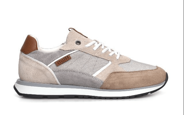 piampiani CDL RUNOFF