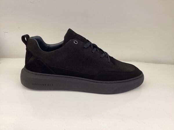 piampiani Cycleur de Luxe Roturier