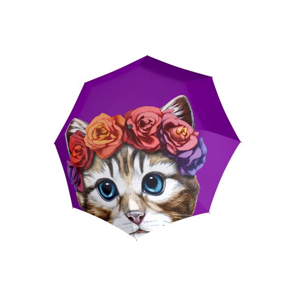 piampiani Doppler Modern.Art Long AC Little Beauty