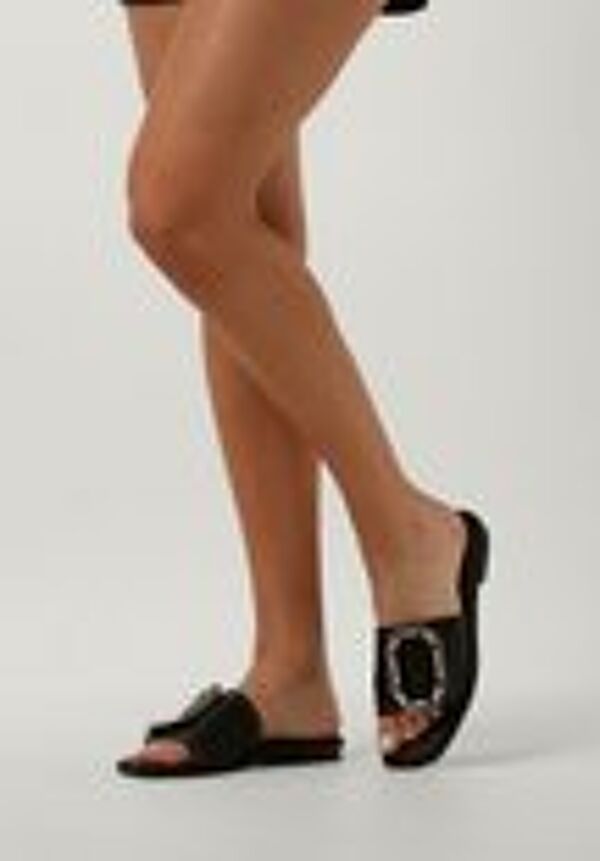 Piampiani Noa Harmon Maria