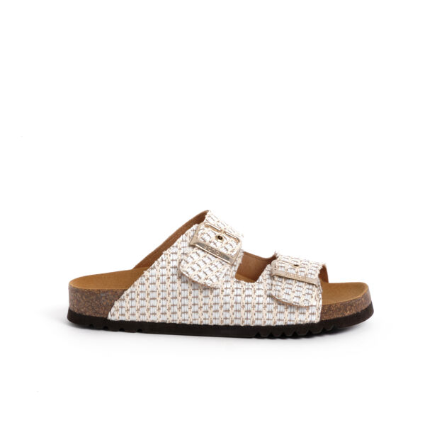 piampiani Scholl Noelle Raf