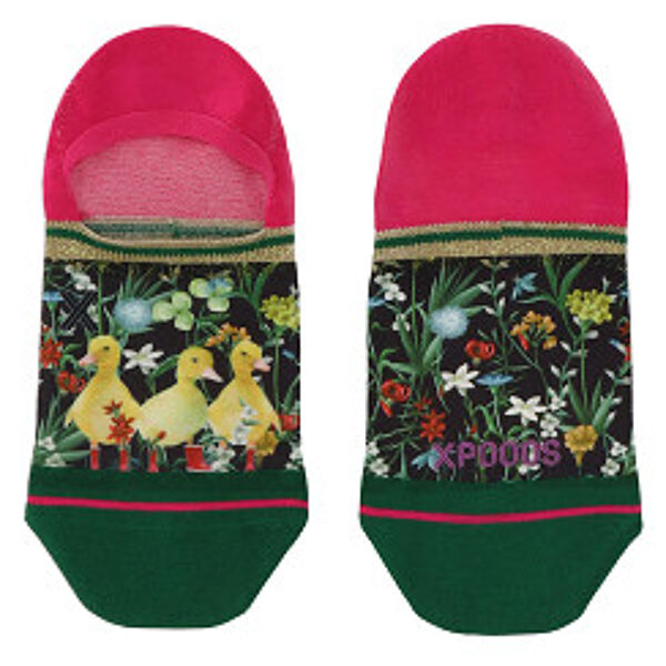 piampiani XPOOOS Kwek ladies