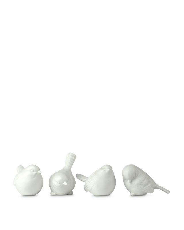 pols potten Ongeglazuurde Porseleinen Sparrows White