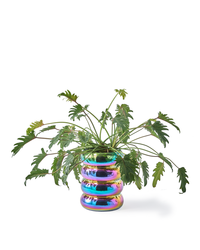 Pols Potten Chubby Bloempot Multi-colour