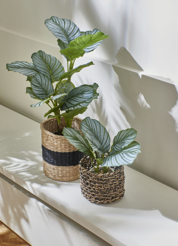 Pomax JUNGLE FEVER - Kunstplant In Pot - Kunststof / Metaal - H 68 Cm - Groen