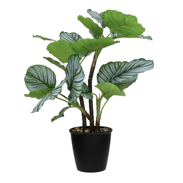 pomax JUNGLE FEVER - kunstplant in pot - kunststof / metaal - H 68 cm - groen