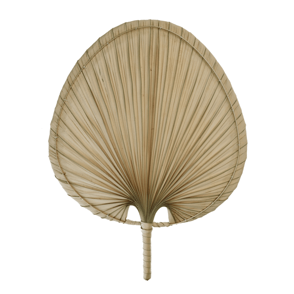 pomax MALLORCA - deco object - palm blad - L 54 x W 40 cm - naturel