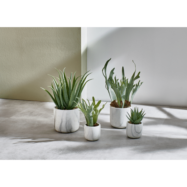 Pomax MARMURA - Artificiële Plant - Kunststof / Cement - DIA 12 X H 40 Cm - Groen