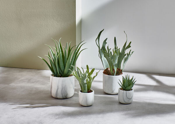 Pomax MARMURA - Artificiële Plant / Paars - Kunststof / Cement - DIA 8 X H 16 Cm - Groen