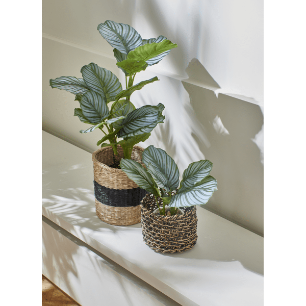 Pomax MARMURA - Kunstplant In Pot - Kunststof / Cement - DIA 12 X H 22 5 Cm - Groen