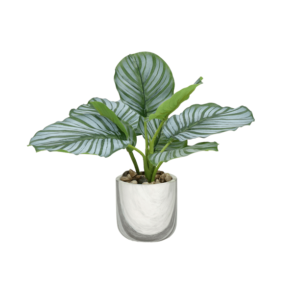 pomax MARMURA - kunstplant in pot - kunststof / cement - DIA 12 x H 22 5 cm - groen