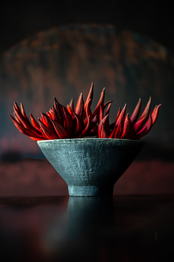 Pomax MERAPI - Kom - Terracotta - DIA 24 5 X H 13 Cm - Zwart