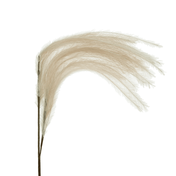 pomax PLUM'O - artificiële pluim - kunststof / metaal - H 106 cm - beige pomax PLUM'O - artificiële pluim - kunststof / metaal - H 106 cm - beige