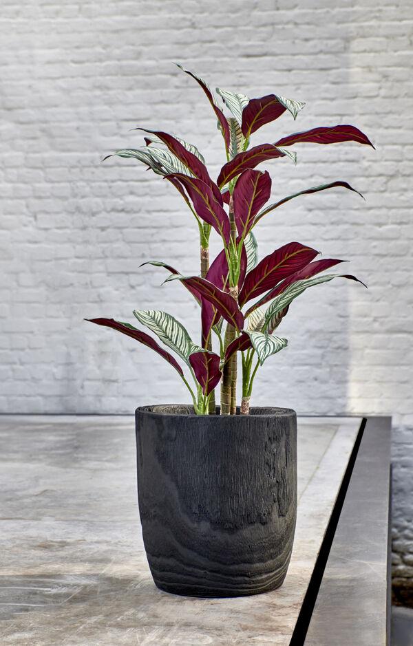 Pomax PURE - Bloempot - Paulownia Hout - DIA 30 X H 32 Cm - Zwart