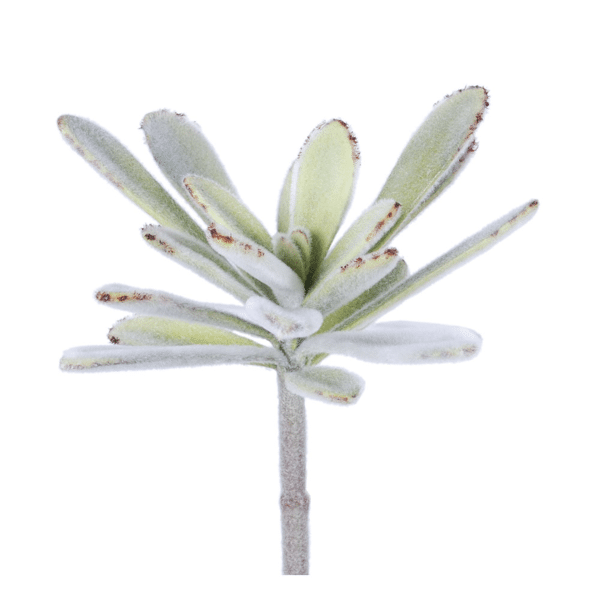 pomax SUCCULENT - kunstplant - kunststof / metaal - H 20 cm - groen pomax SUCCULENT - kunstplant - kunststof / metaal - H 20 cm - groen