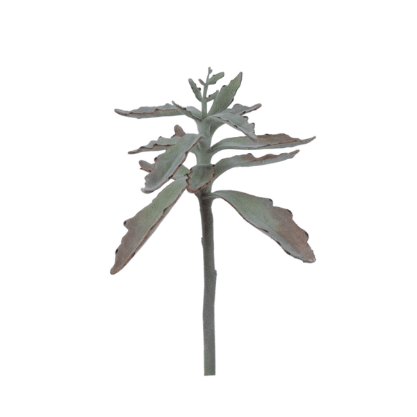 pomax SUCCULENT - kunstplant - kunststof / metaal - H 38 cm - groen pomax SUCCULENT - kunstplant - kunststof / metaal - H 38 cm - groen