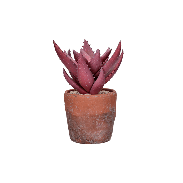 pomax TERRACOTTA LOVE - artificiële plant in pot - kunststof / terracotta - DIA 19 5 x H 24 5 cm - vijg