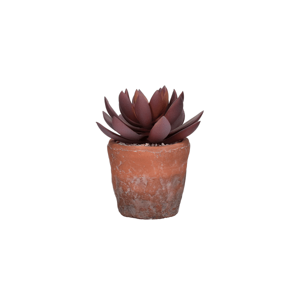 pomax TERRACOTTA LOVE - artificiële plant in pot - kunststof / terracotta - DIA 12 x H 16 5 cm - vijg