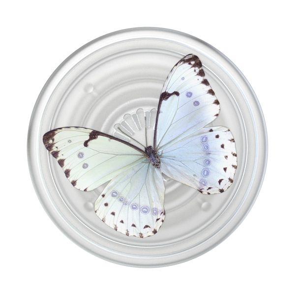 Popsockets PlantCore Whisper Moth Adhesive PopGrip