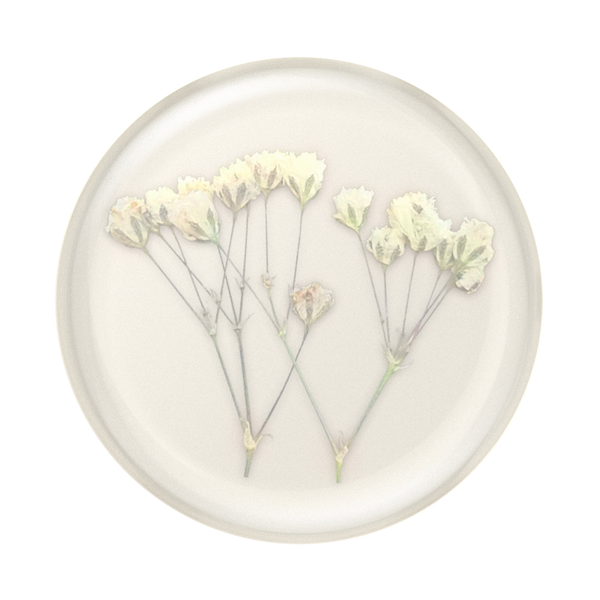 Popsockets Pressed Flower Baby's Breath Adhesive PopGrip