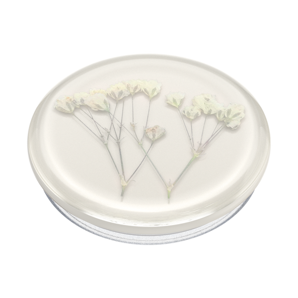 Popsockets Pressed Flower Baby's Breath Adhesive PopGrip