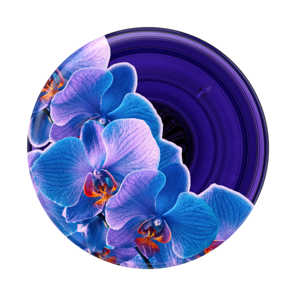 Popsockets Translucent Dark Orchid Adhesive PopGrip