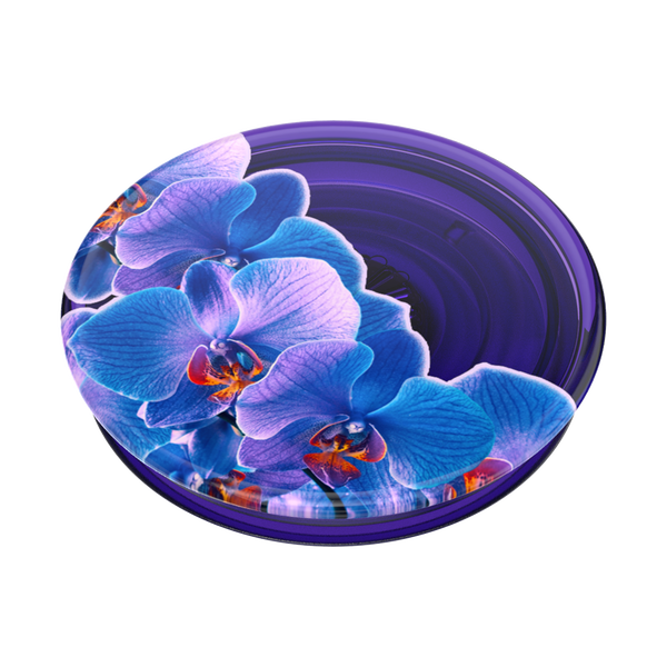Popsockets Translucent Dark Orchid Adhesive PopGrip