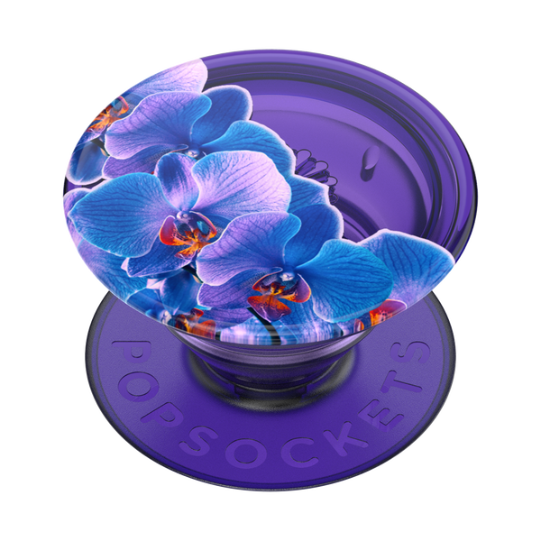 popsockets Translucent Dark Orchid Adhesive PopGrip