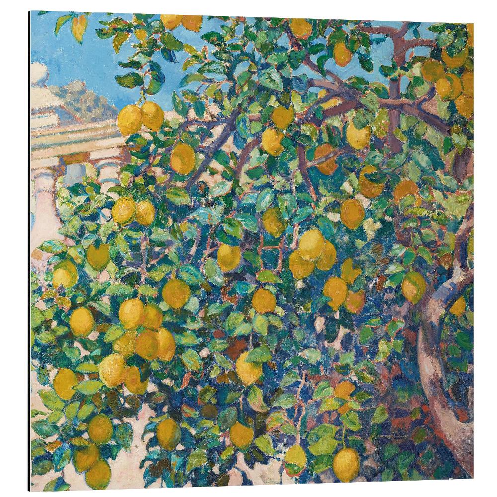 posterlounge Aluminium print Lemon Trees in La Mortola 1921