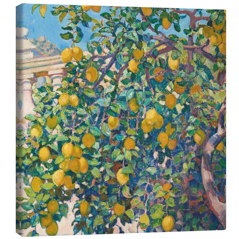 posterlounge Canvas print Lemon Trees in La Mortola 1921