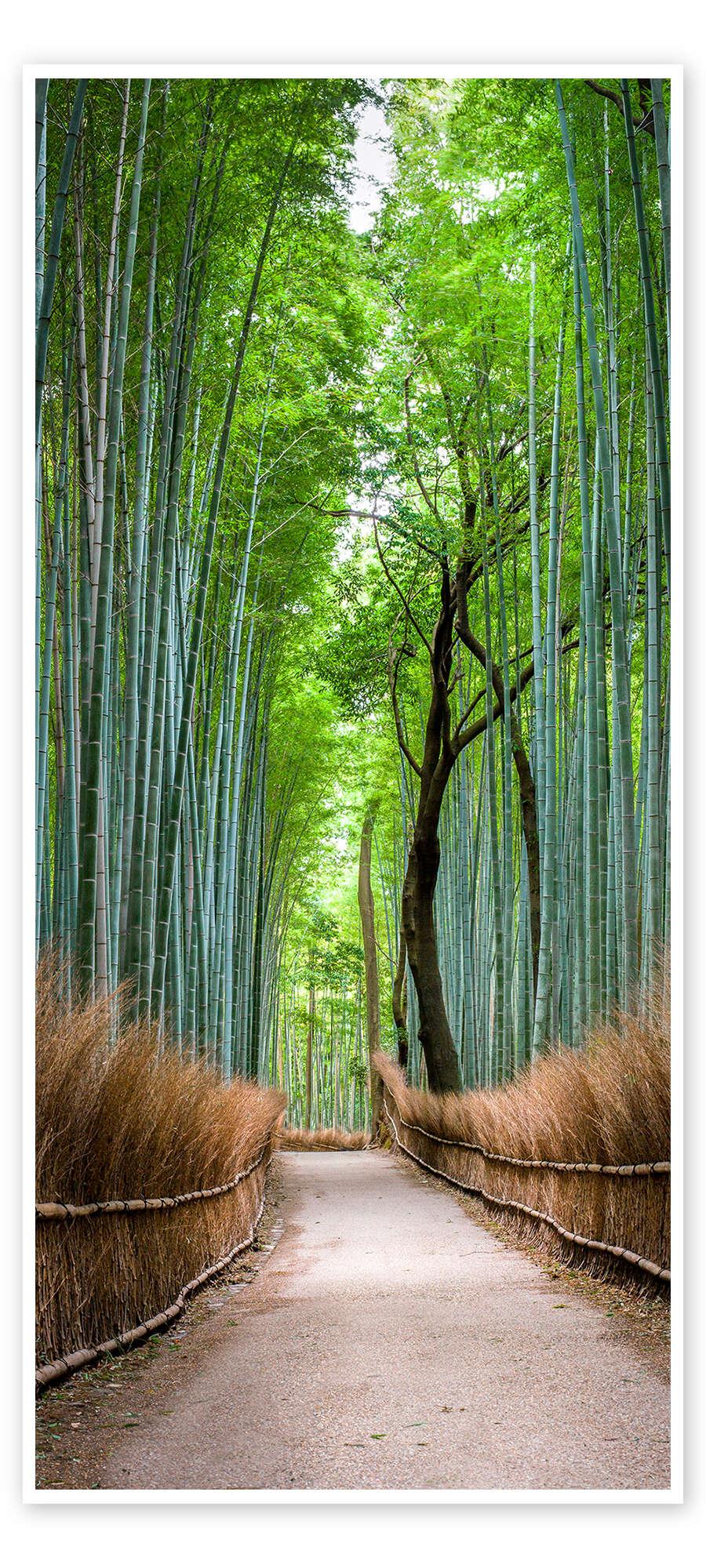 posterlounge Deurposter Bamboo Forest in Kyoto Sagano Arashiyama Japan