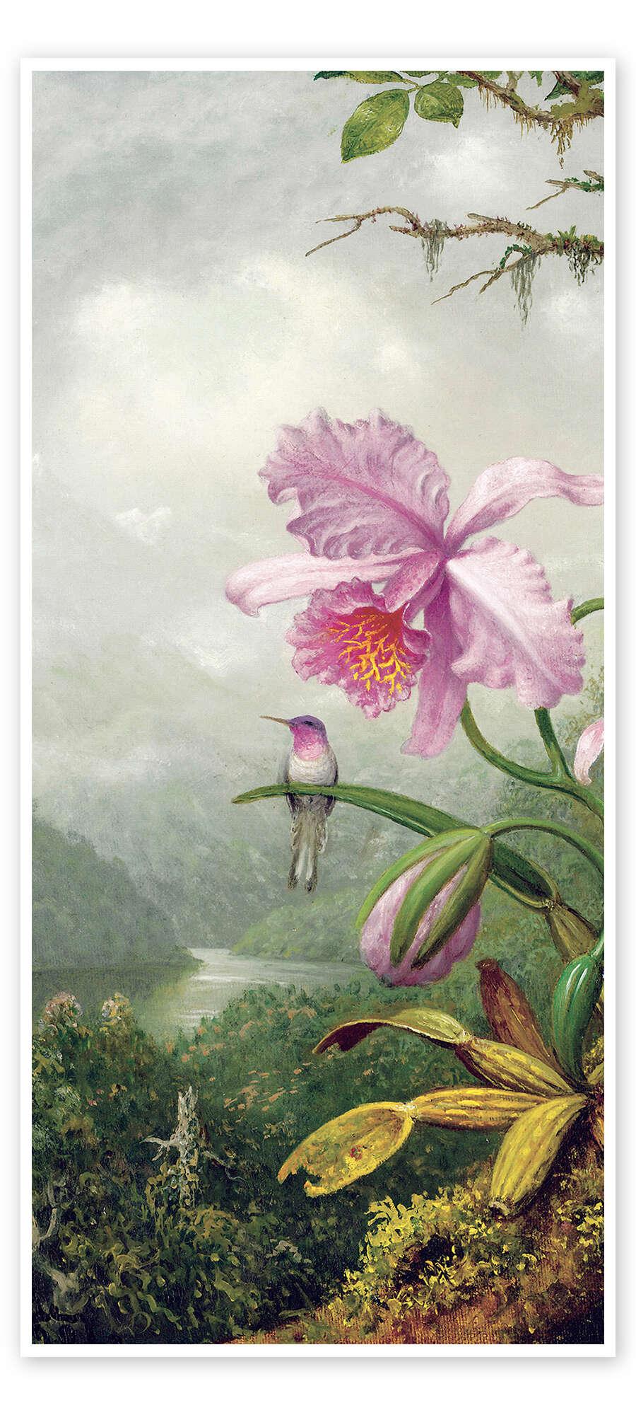 posterlounge Deurposter Hummingbird Perched on an Orchid Plant