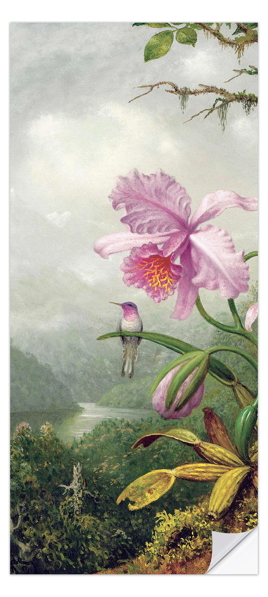 posterlounge Deursticker Hummingbird Perched on an Orchid Plant