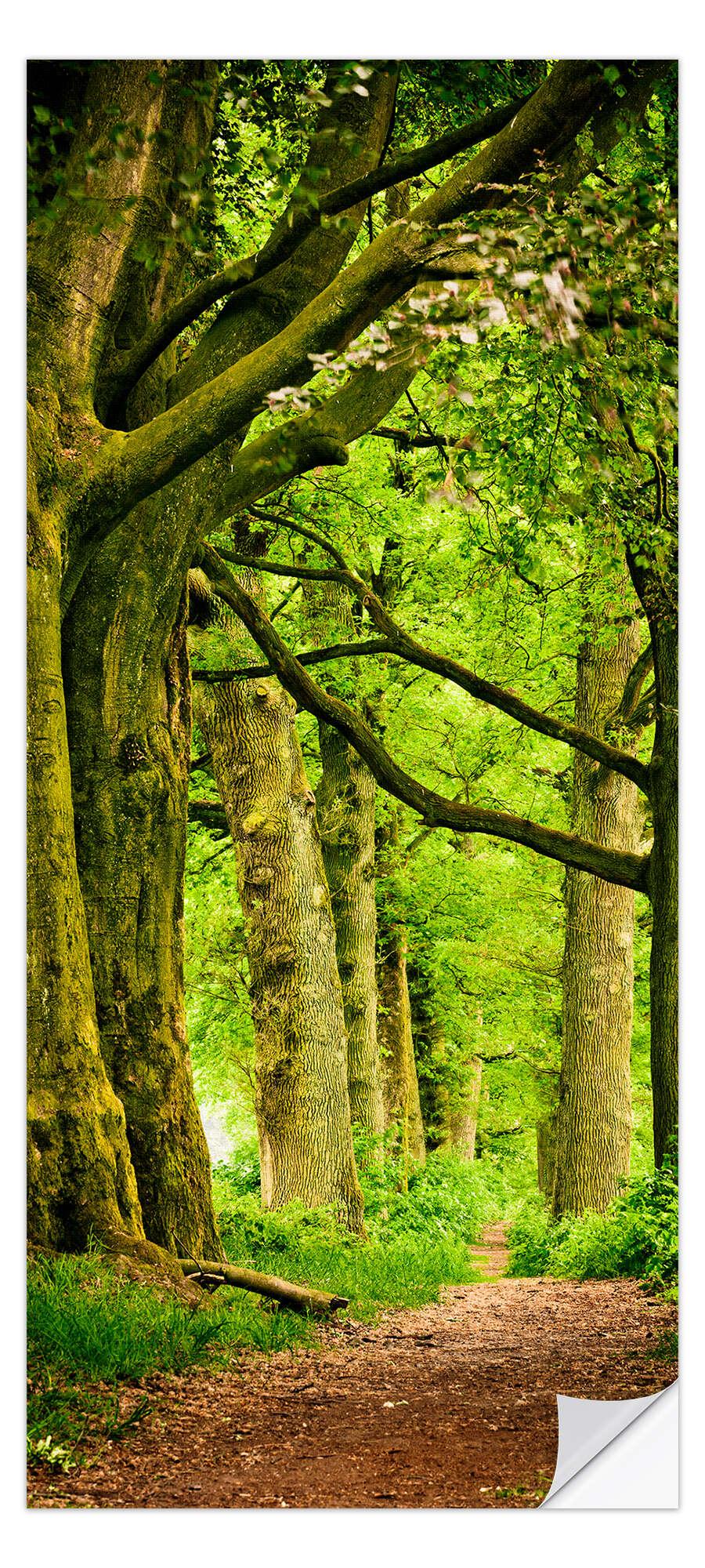 posterlounge Deursticker Kleuren van het voorjaar in een bos
