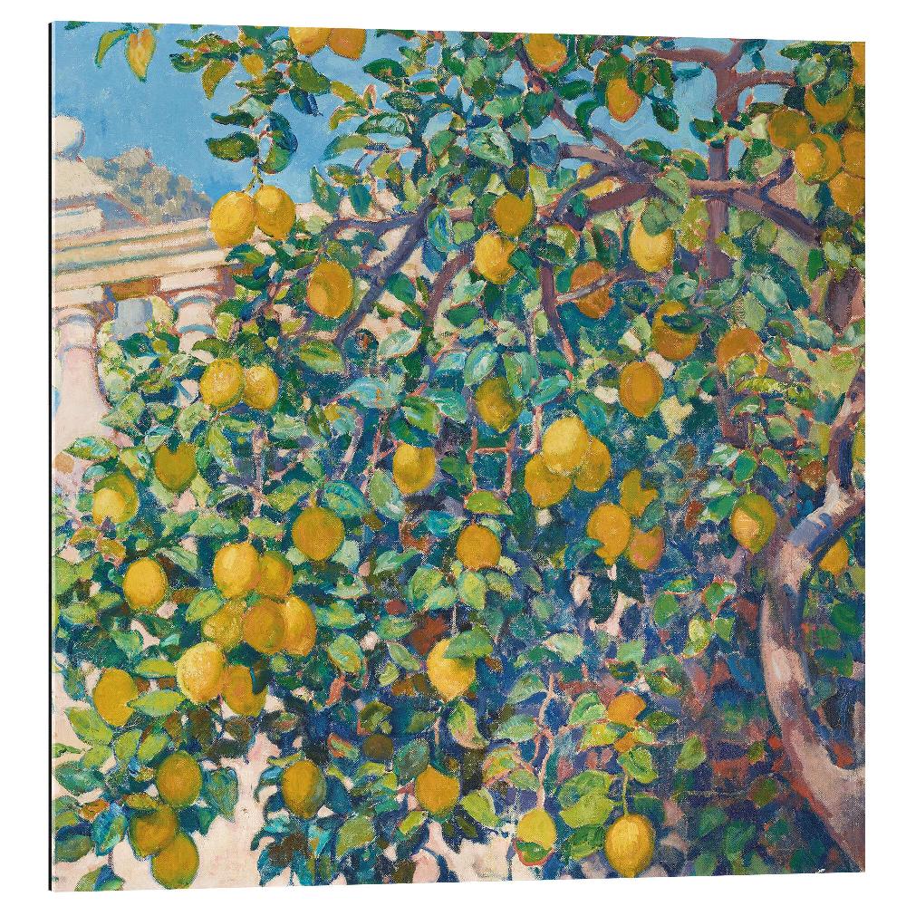 posterlounge Gallery print Lemon Trees in La Mortola 1921