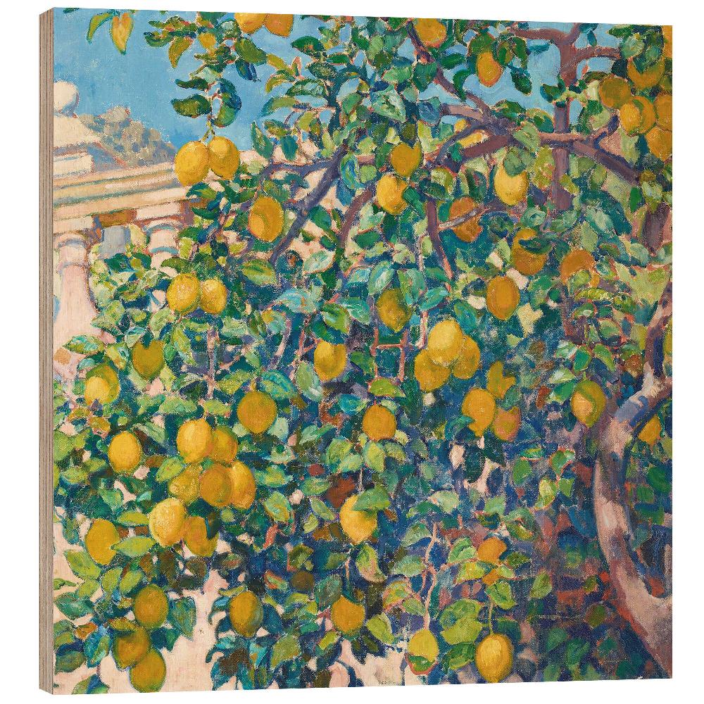 posterlounge Hout print Lemon Trees in La Mortola 1921